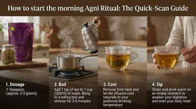 CCF Plus Tea – The Agni Starter ( Ayurvedic Digestive & Gut Wellness Tea )