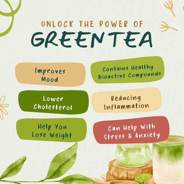 Unlocking the Power of Green Tea: A Wellness Elixir - TeaTreasure