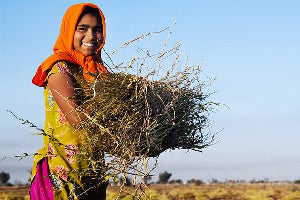 Our Role in Regenerating India Locally And Organically