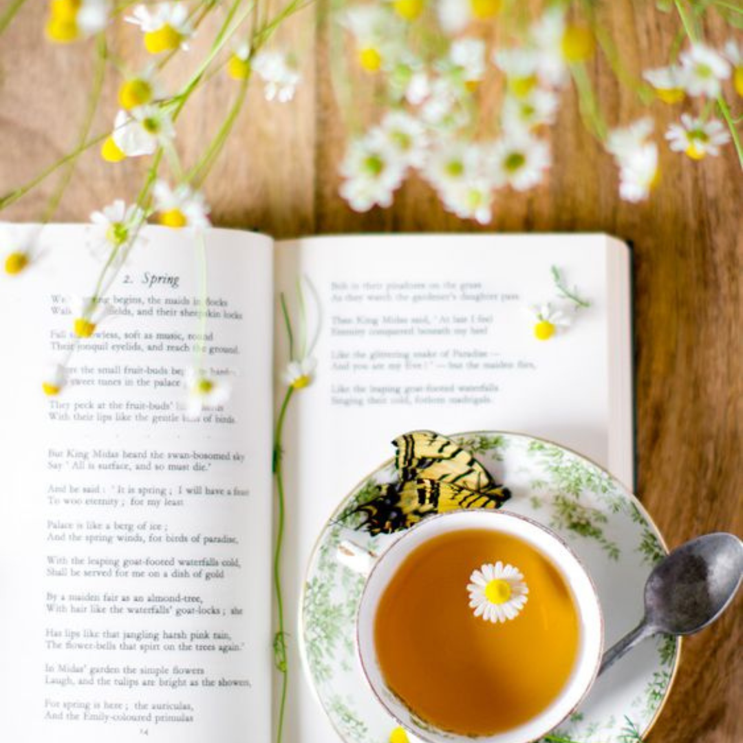 4 REASONS TO HAVE A CUP OF CHAMOMILE RIGHT NOW