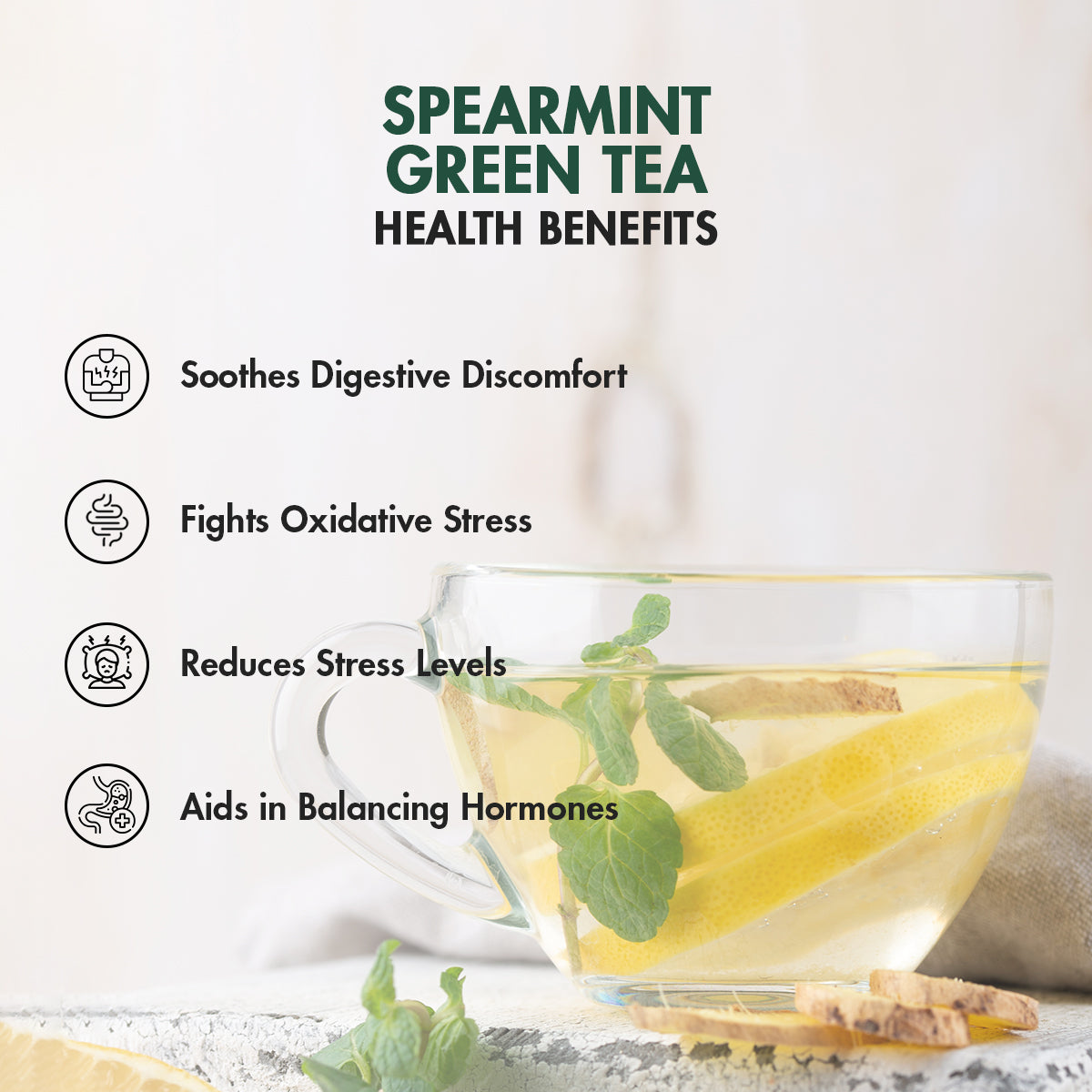 Spearmint green tea pyramid tea bags by Tea Treasure, photo 2