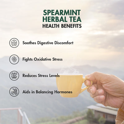 Spearmint herbal tea